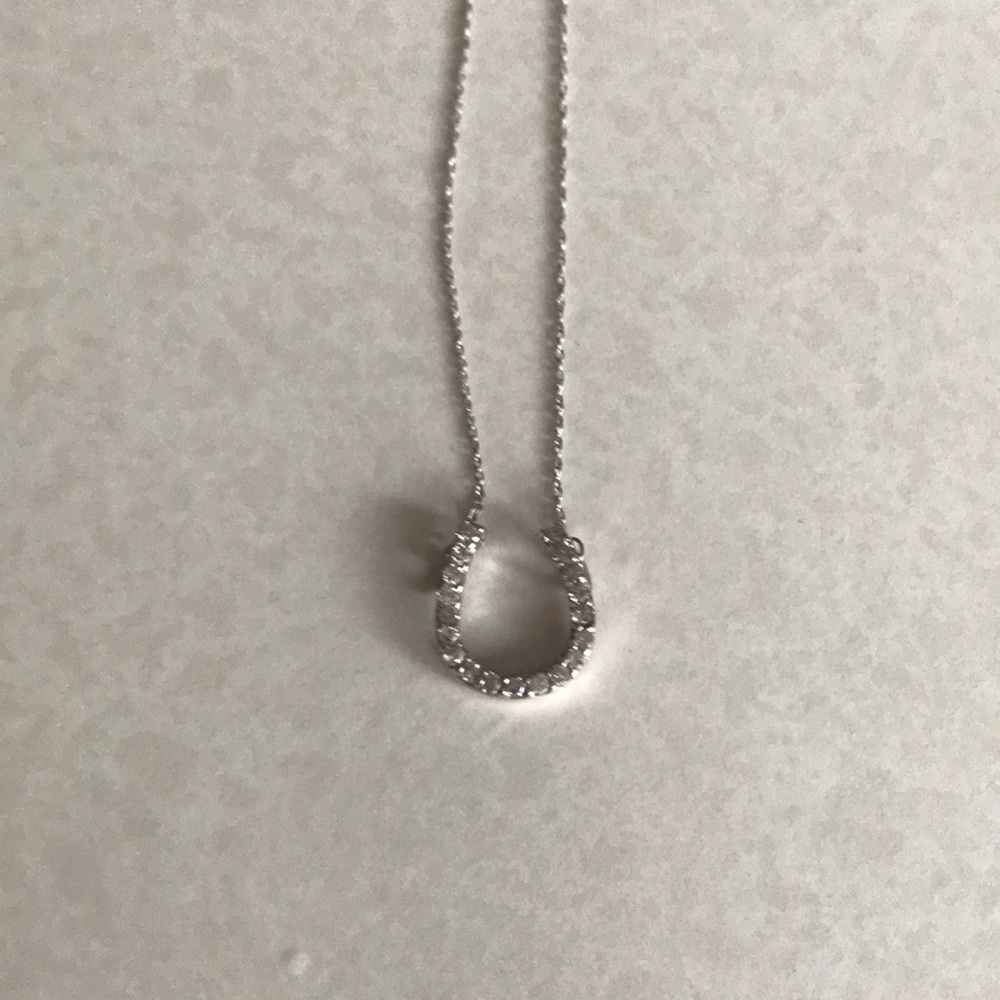 Horse shoe necklace real diamonds